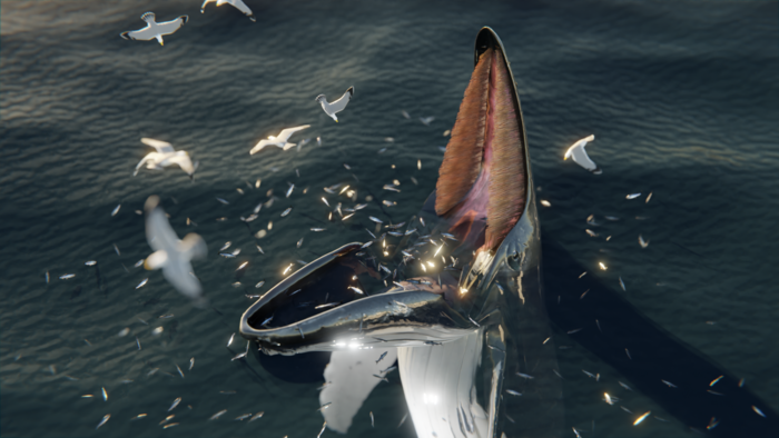 A digital reconstruction of a humpback whale trap feeding