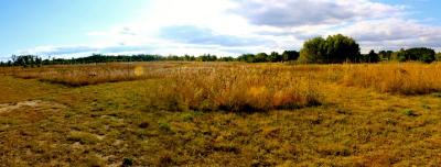 Cedar Creek Ecosystem Science Reserve