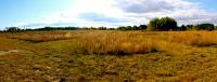 Cedar Creek Ecosystem Science Reserve