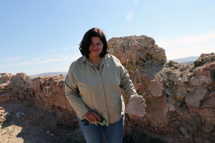 Assoc. Prof. Dr. Çiğdem Maner