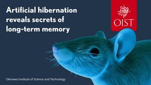 Video explainer for artificial hibernation and memory