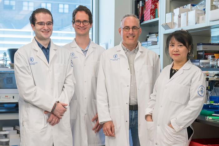Niethammer Lab Members