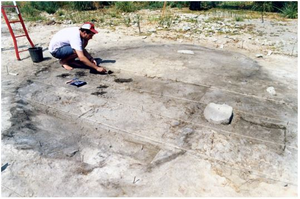 Ohalo II brush hut.