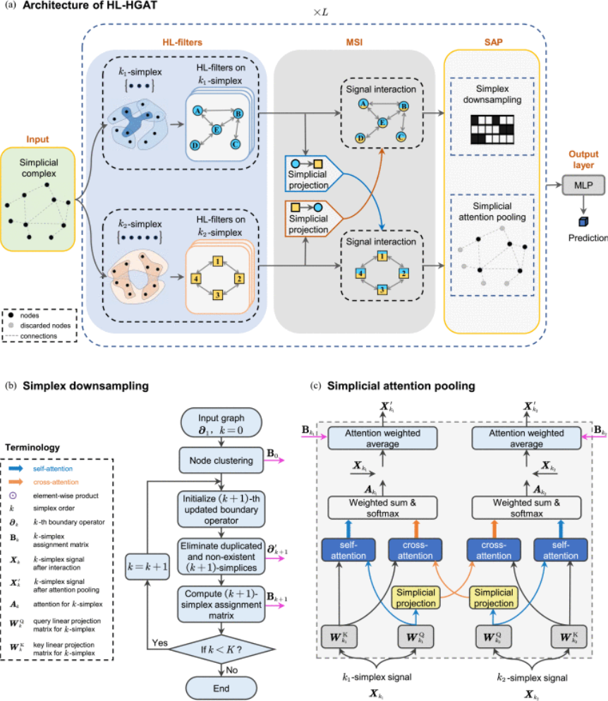 PolyU develops novel AI graph neural network models to unravel interdisciplinary complexities in image recognition and neuroscience