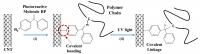 Synthesis Process