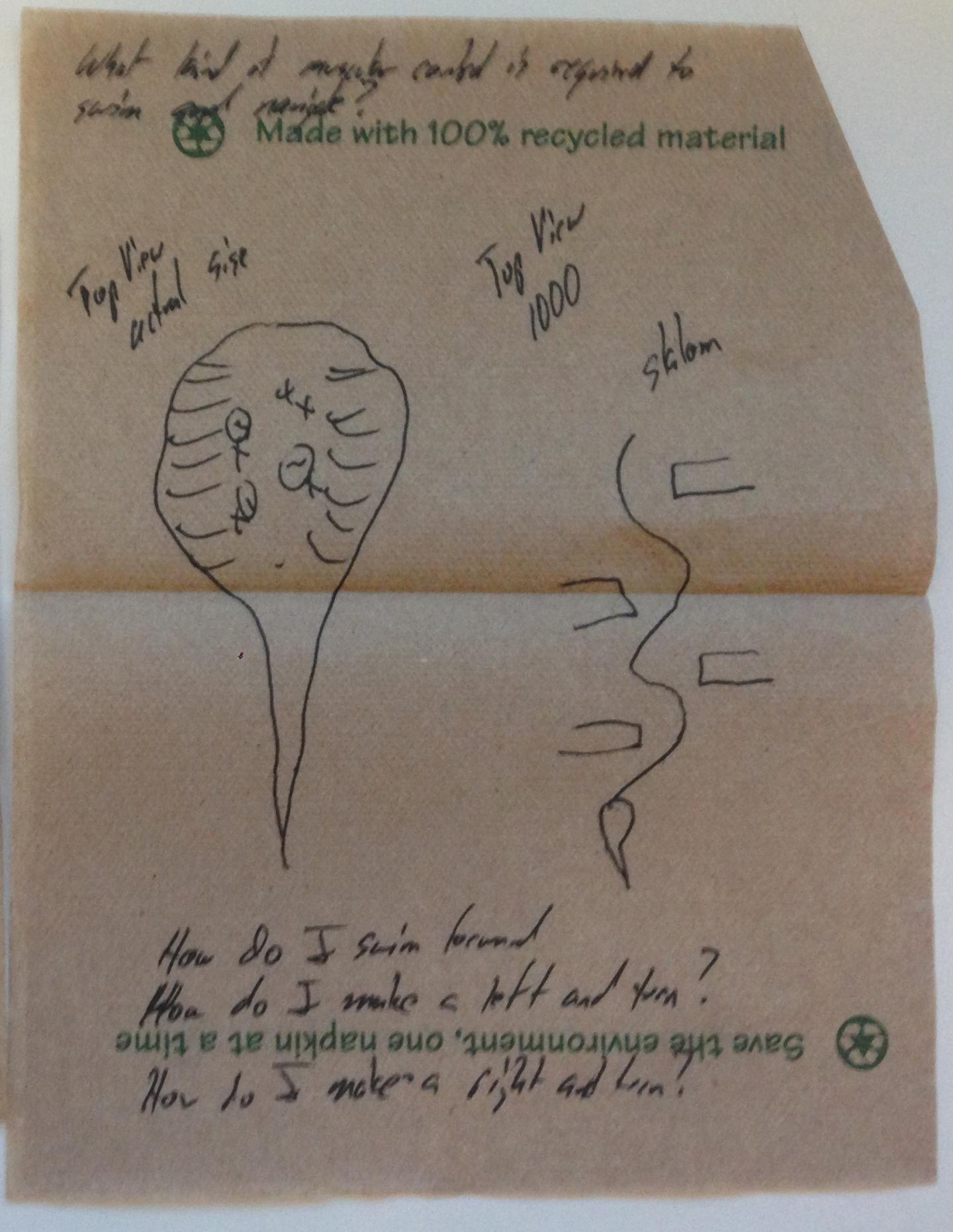 The Debut of a Robotic Stingray, Powered by Light-Activated Rat Cells (7 of 18)