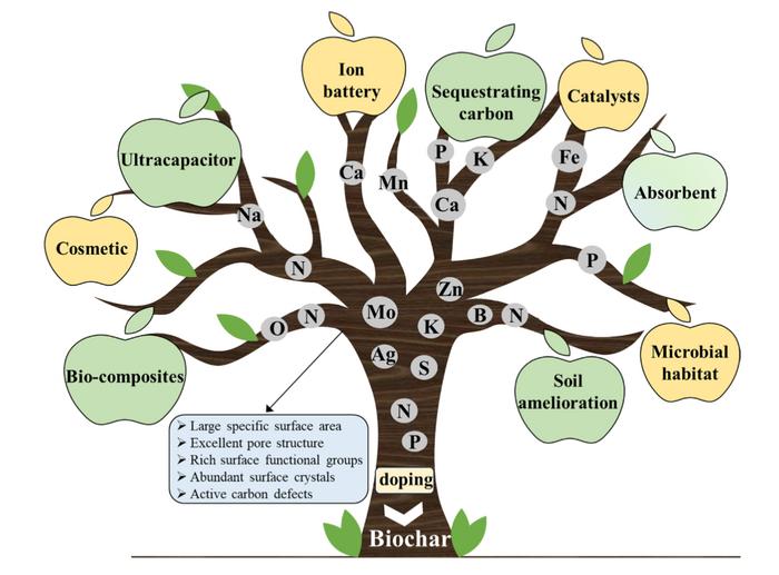 Unlocking the potential of element-doped biochar: from tailored synthesis to multifunctional applications in environment and energy