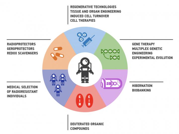 Hallmarks of Radioresistance: the Evolving Set of Strategies for Increasing Resistance to Radiation 