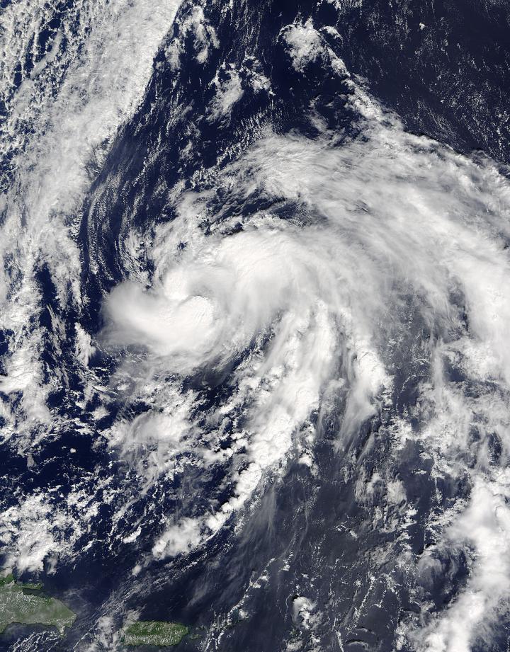 Terra Image of Nicole