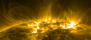 Solar Coronal Loops