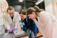 Spider Glue Research (2 of 2)