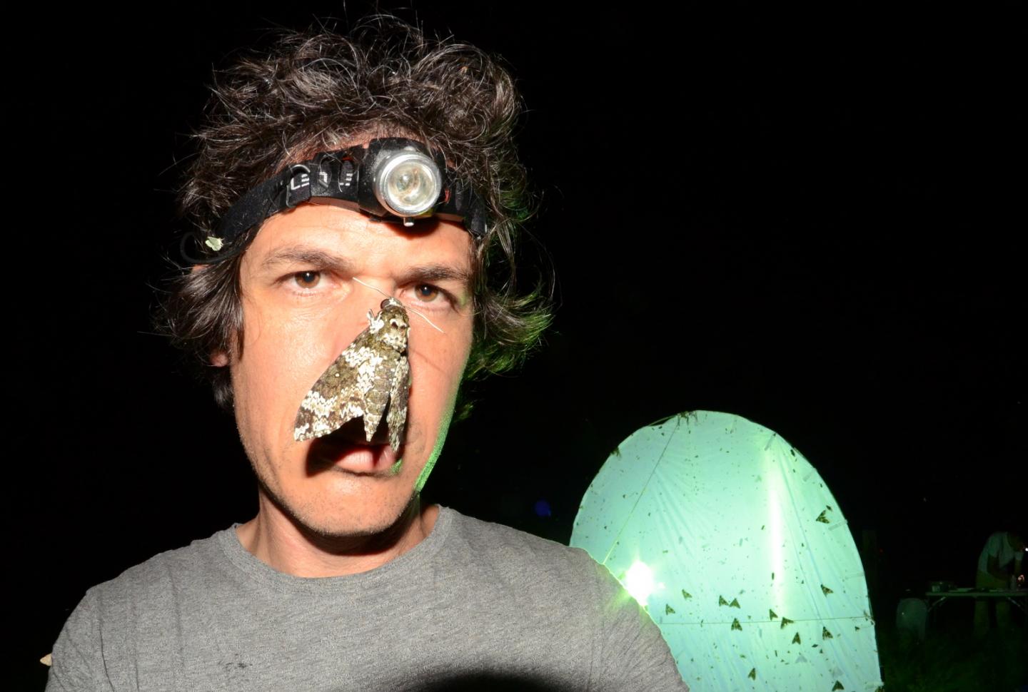 Eran Levin with Manduca Moth