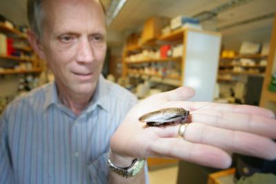 Terry Page holding cockroach