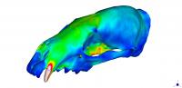 High-precipitation Model
