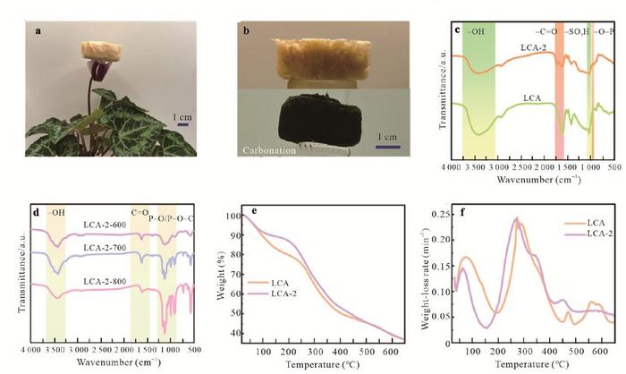 Phytic Acid–Driven Structural Engineering Unlocks High-Performance Lignin-Based Carbon Aerogel Supercapacitors