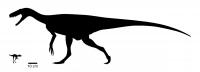 Kongonaphon Compared