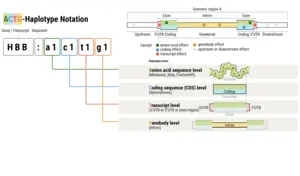 Graphical abstract: the ACTG hierarchical naming system