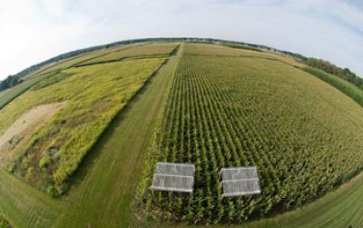 Aerial View of Farmland