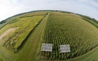 Aerial View of Farmland