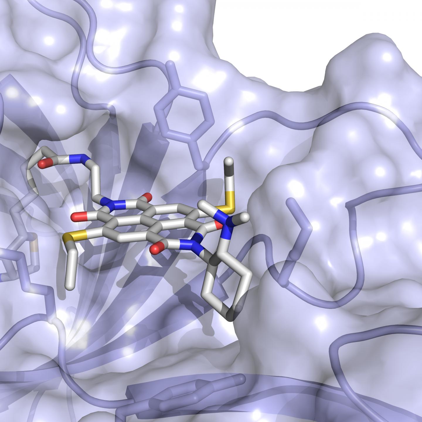 The Anion-&pi; Enzyme