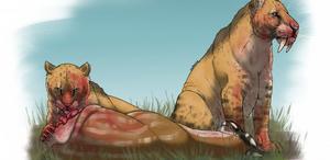 Reduction in supply of prey was decisive factor in extinction of saber-toothed tigers, study finds
