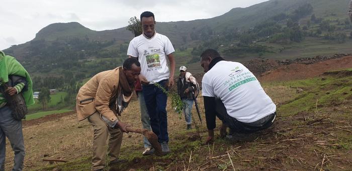 In Ethiopia, agroforestry is part of climate adaptation