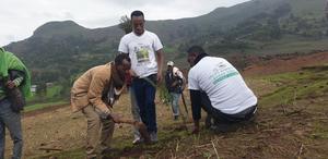 In Ethiopia, agroforestry is part of climate adaptation