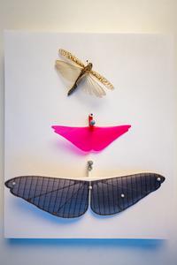 Grasshopper and model gliders