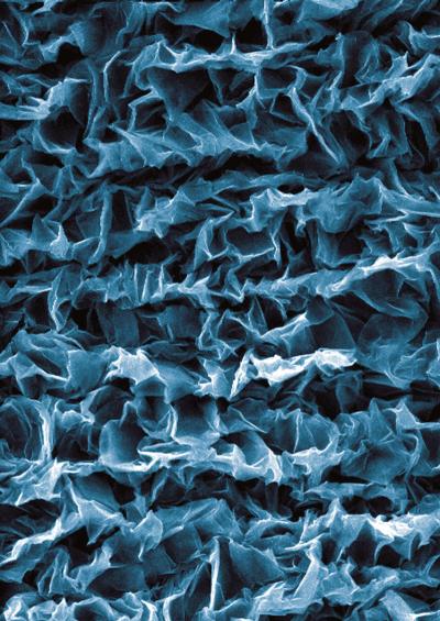 Crumpled Graphene