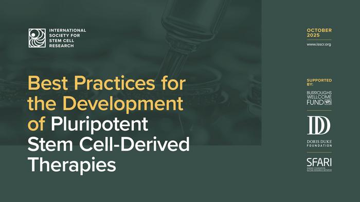 Best Practices for the Development of Pluripotent Stem Cell-Derived Cellular Therapies