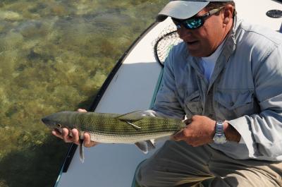 2008 Bonefish Census