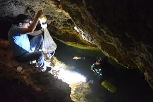 Researchers during the sampling expedition to Roadside Cave