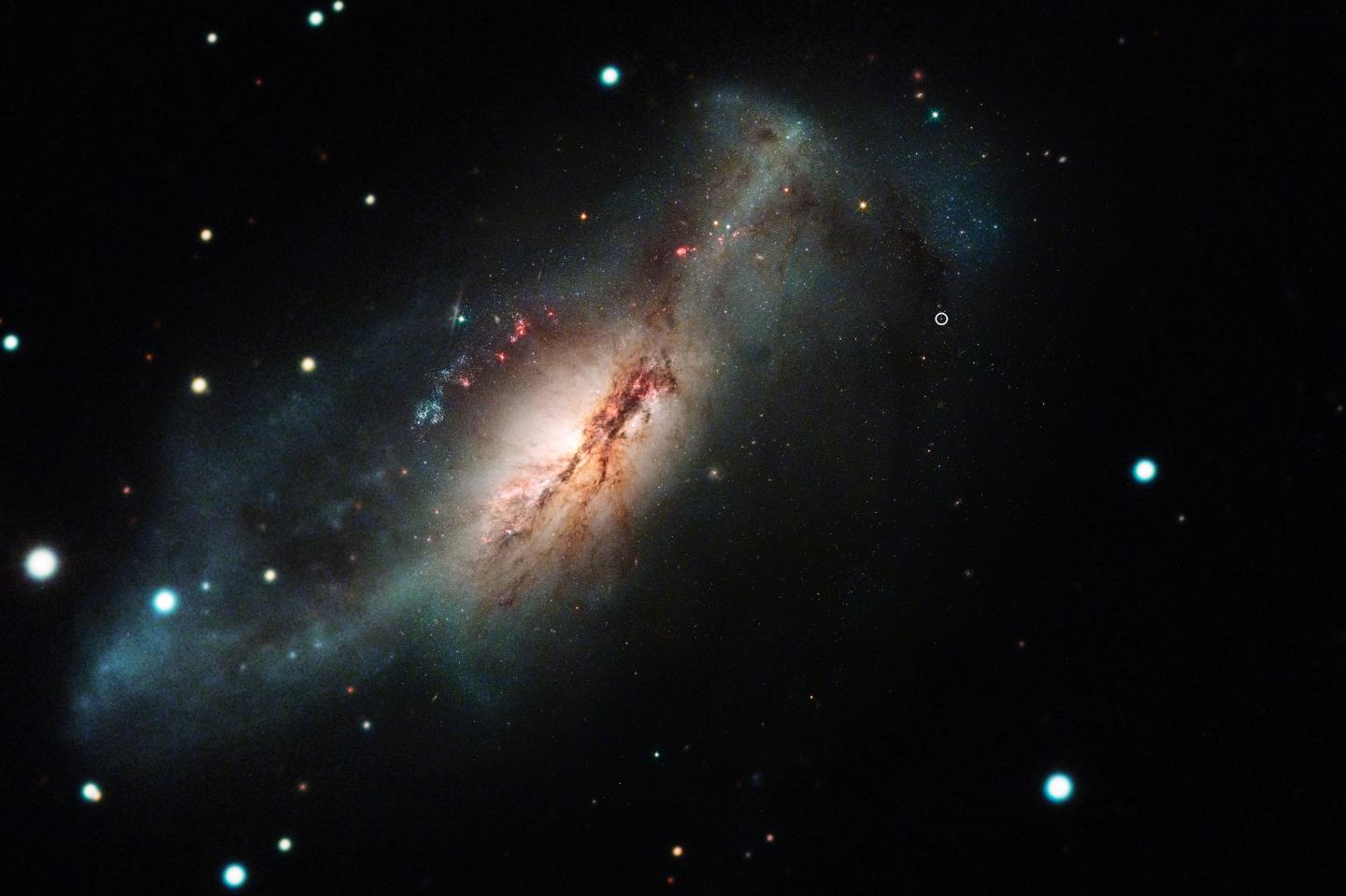 Supernova 2018zd