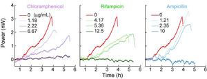 Bacterial_growth