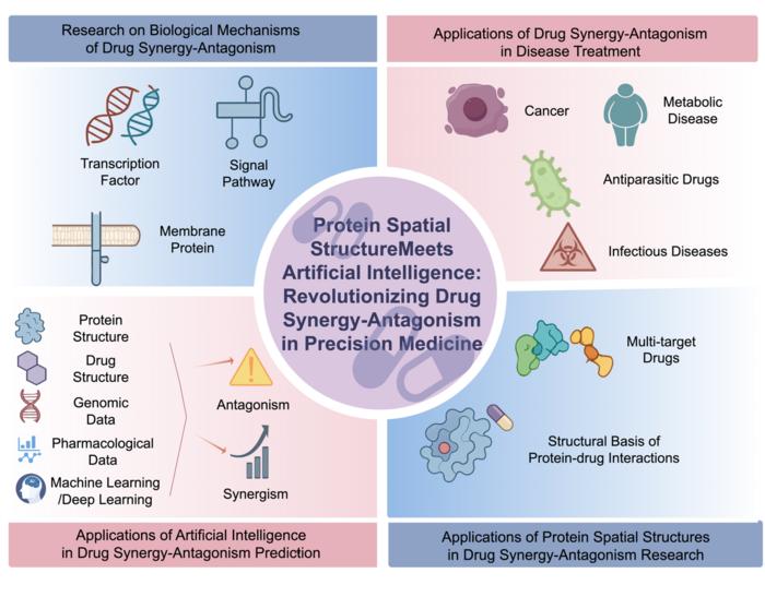Structural AI framework for drug synergy prediction