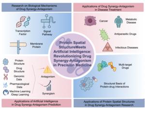 Structural AI framework for drug synergy prediction