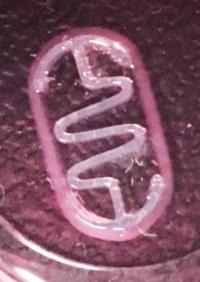 Biobot (top view)