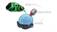 Vision Restoration -- A Step Closer