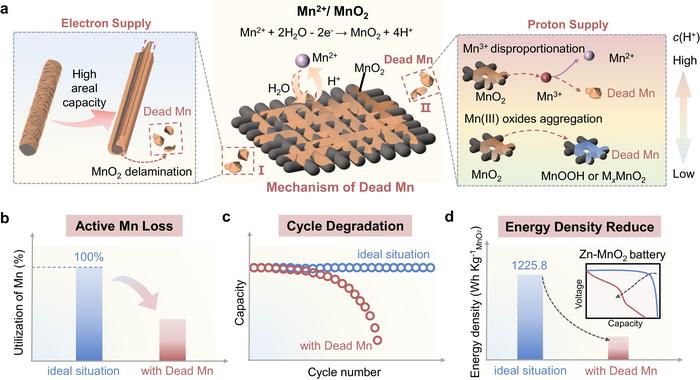 Formation mechanism and hazards of “dead Mn”