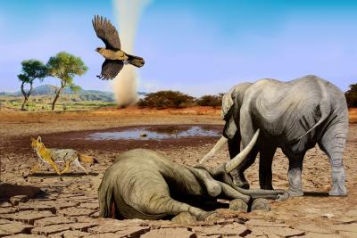 A Warm and Dry Environment from the Tagua Tagua Site (North Central Chile, Pleistocene / Holocene)