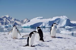 Image-2-Antarctica.-Credit-Professor-Alison-Banwell-scaled