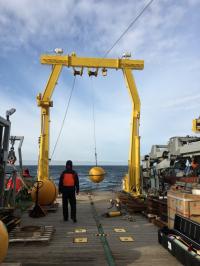 Hydrophone