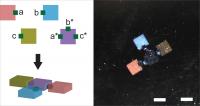 Gel Bricks