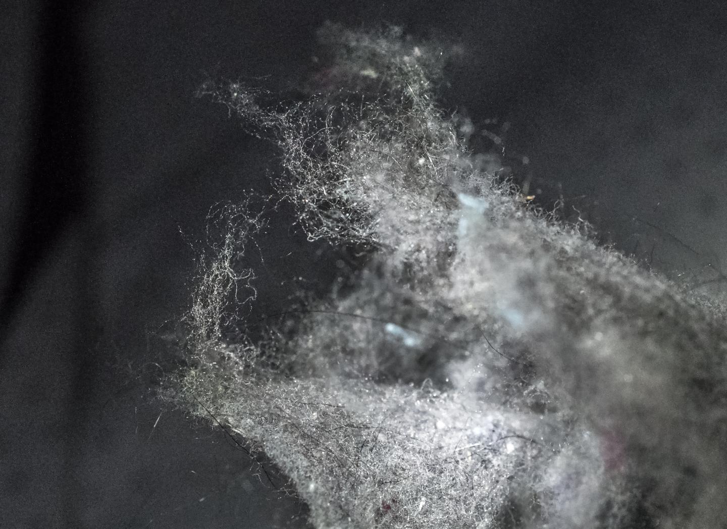 Lint