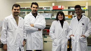 Diseñado un dispositivo basado en la física de microfluidos para predecir la respuesta terapéutica contra el cáncer