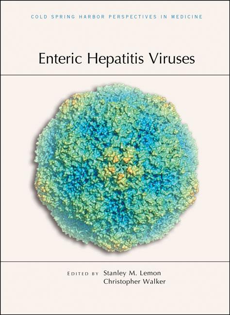 <i>Enteric Hepatitis Viruses<i/>