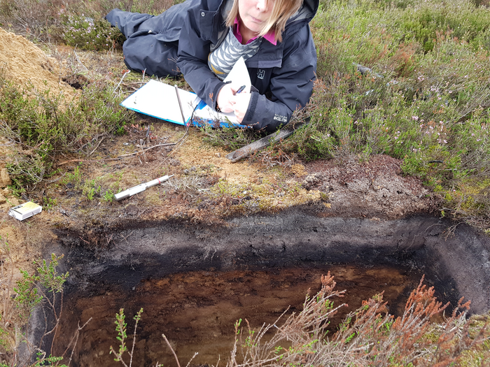 Digging holes