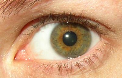 Visual Perception