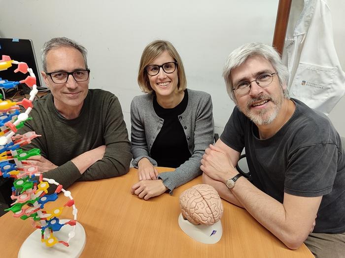 A study expands the genetic basis of an encephalopathy associated with epilepsy and autism