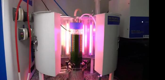 Photobioreactor